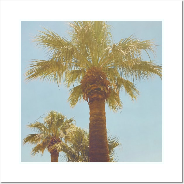 Pretty picture of a Palm Tree. Pretty Palm Trees Photography design with blue sky Wall Art by BoogieCreates